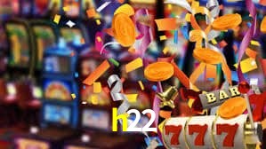 Premium Interface h22
