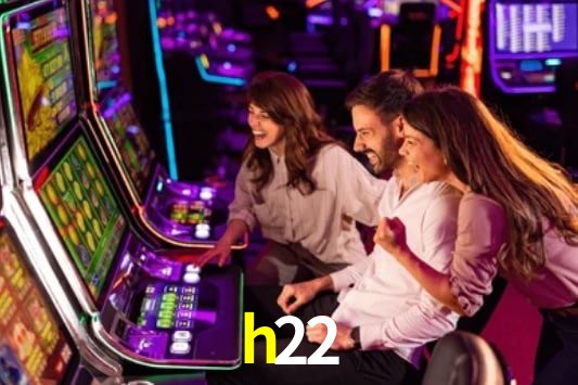 Interface Premium h22